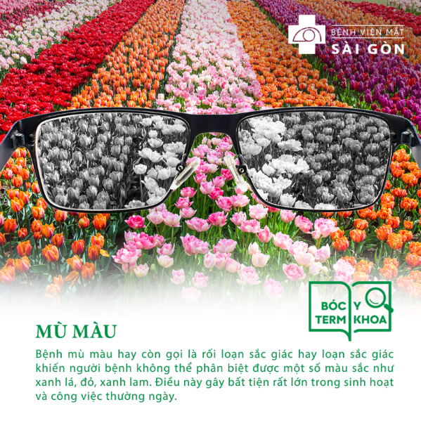 “MÙ MÀU” LÀ BỆNH GÌ? NGUYÊN NHÂN DO ĐÂU?